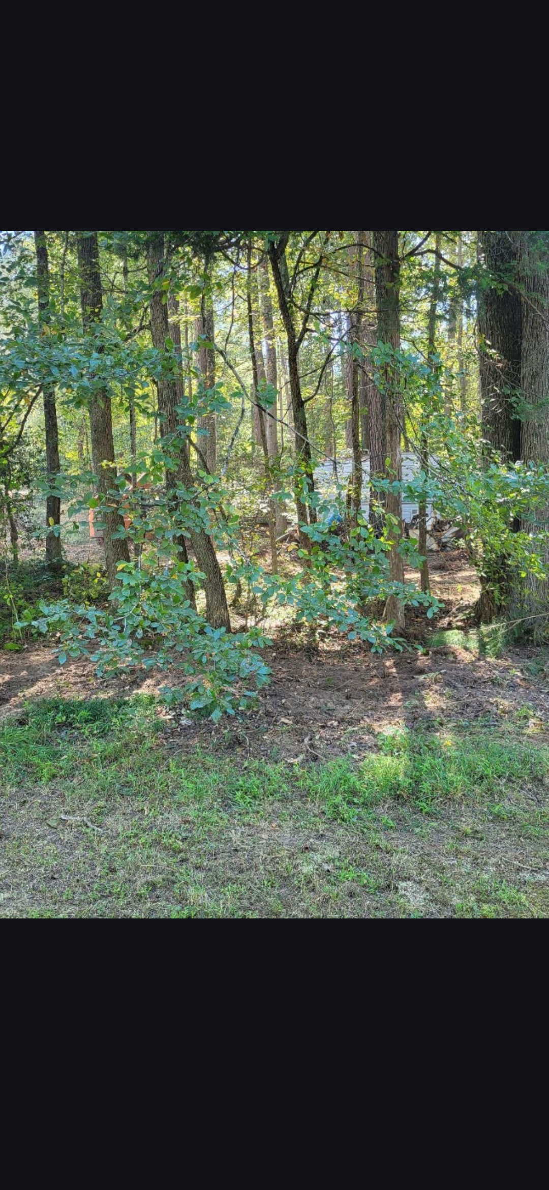 Lot 4